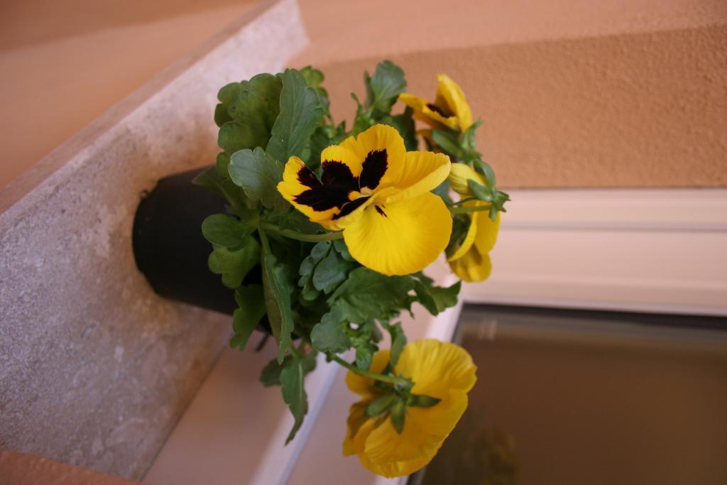 Bed and Breakfast Note Sulla Piazza Cagliari Zewnętrze zdjęcie